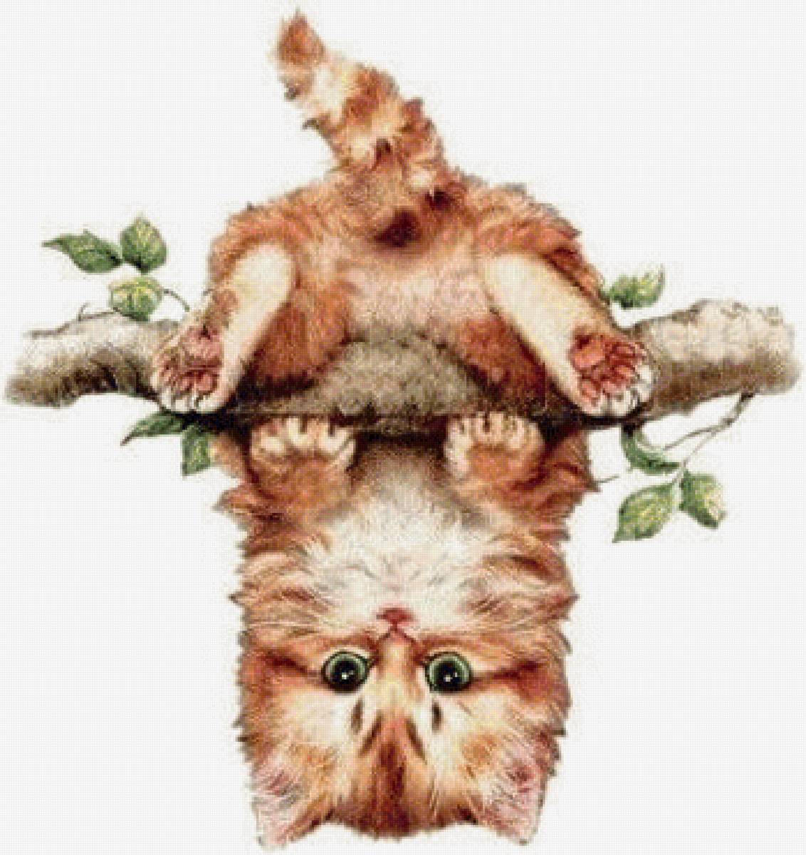 Котенок вверх ногами - котенок, хвост, ветка - предпросмотр