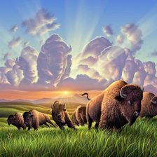 Схема вышивки «Американские бизоны»