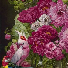 Схема вышивки «221»