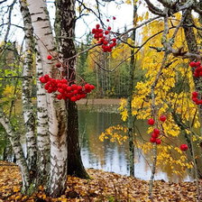 Схема вышивки «№2397249»