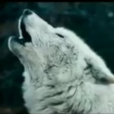 Схема вышивки «Одиночество»