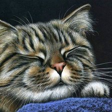 Схема вышивки «Gato.»