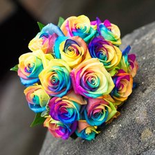 Радужные розы