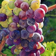 Схема вышивки «№2398478»