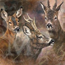 Схема вышивки «Ciervos»