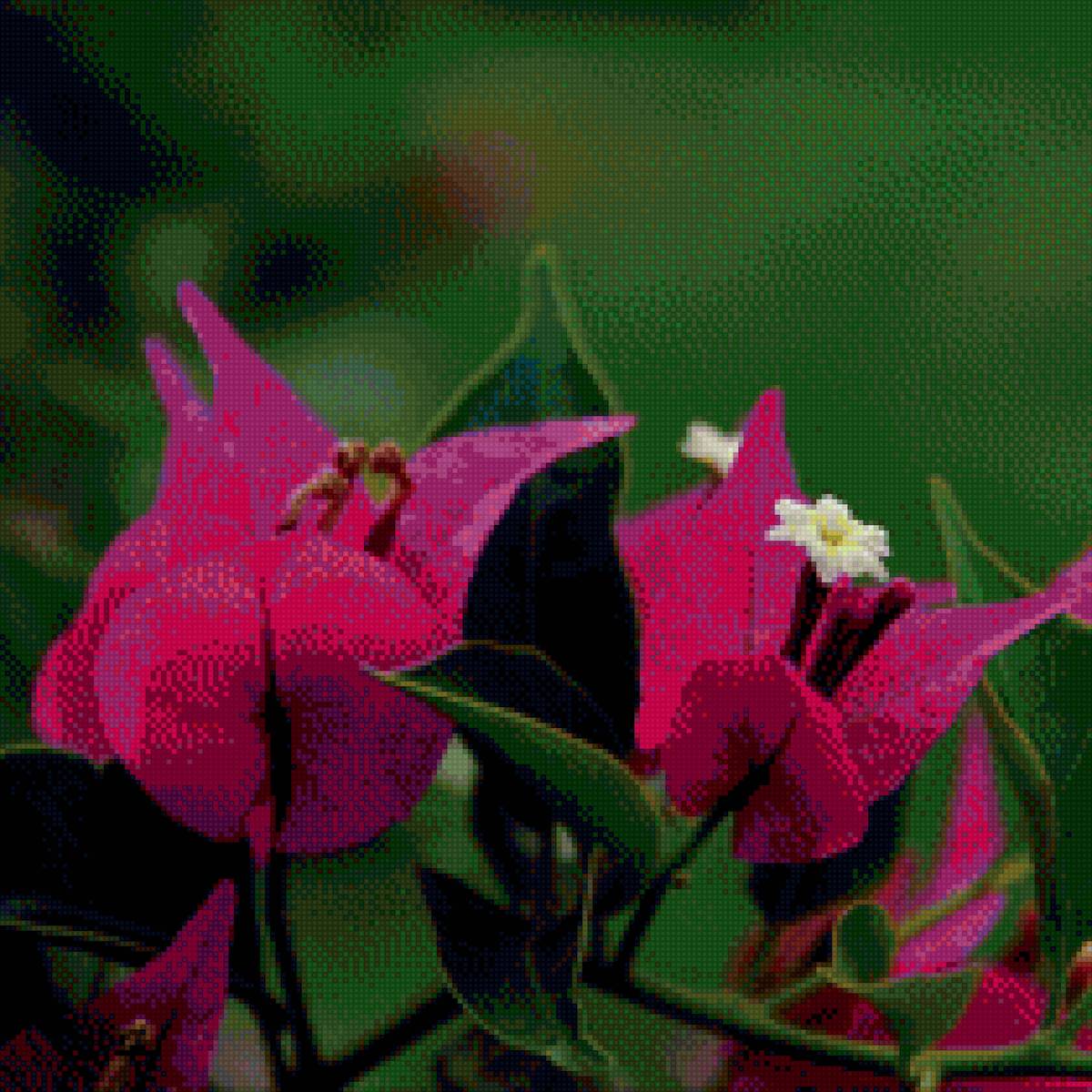 Орхидея бугенвиллия - орхидея, подушка, цветы - предпросмотр