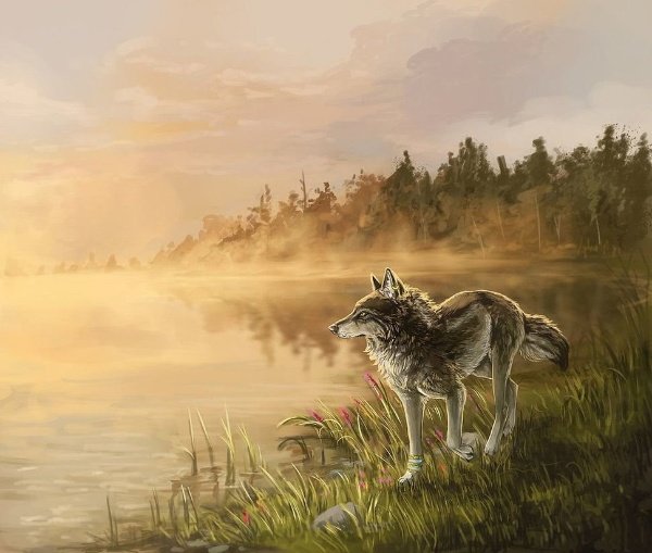 Волк - животные, картина, волк - оригинал