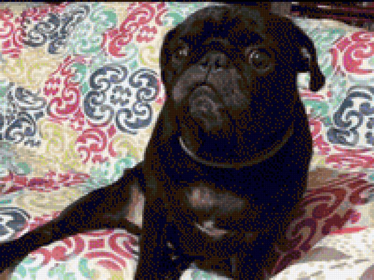 Personal - mariposas - предпросмотр