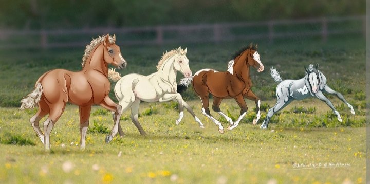 Жеребята - миф, лошади - оригинал