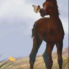 Схема вышивки «Жеребенок»