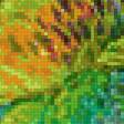 Предпросмотр схемы вышивки «Попугаи» (№2399619)