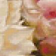 Предпросмотр схемы вышивки «Boque de peônias.» (№2399626)