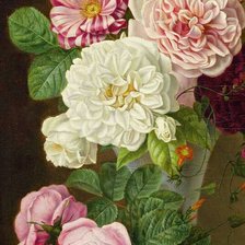 Схема вышивки «219»