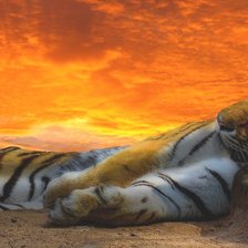 Схема вышивки «№2400363»