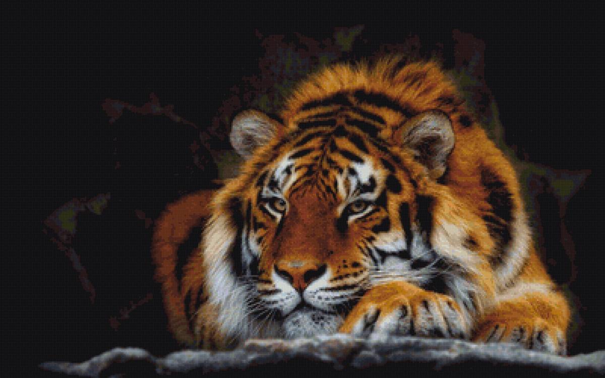 №2400393 - предпросмотр