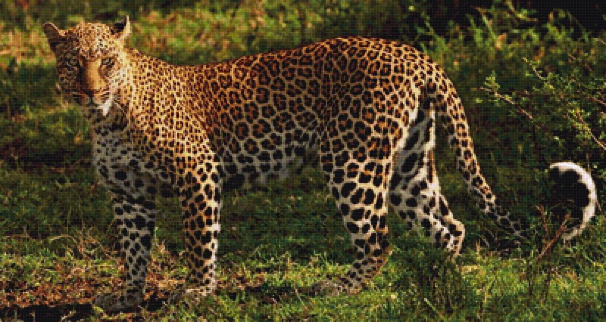 №2400498 - предпросмотр