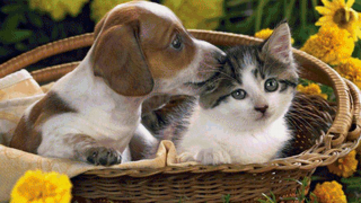 Домашние животные - домашние животные, щенок, котенок - предпросмотр