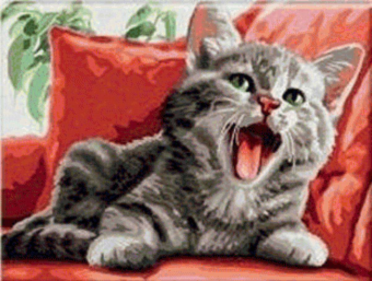 Прелестный котенок - животные, кот, котенок - предпросмотр