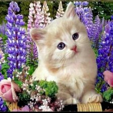 Схема вышивки «кот»