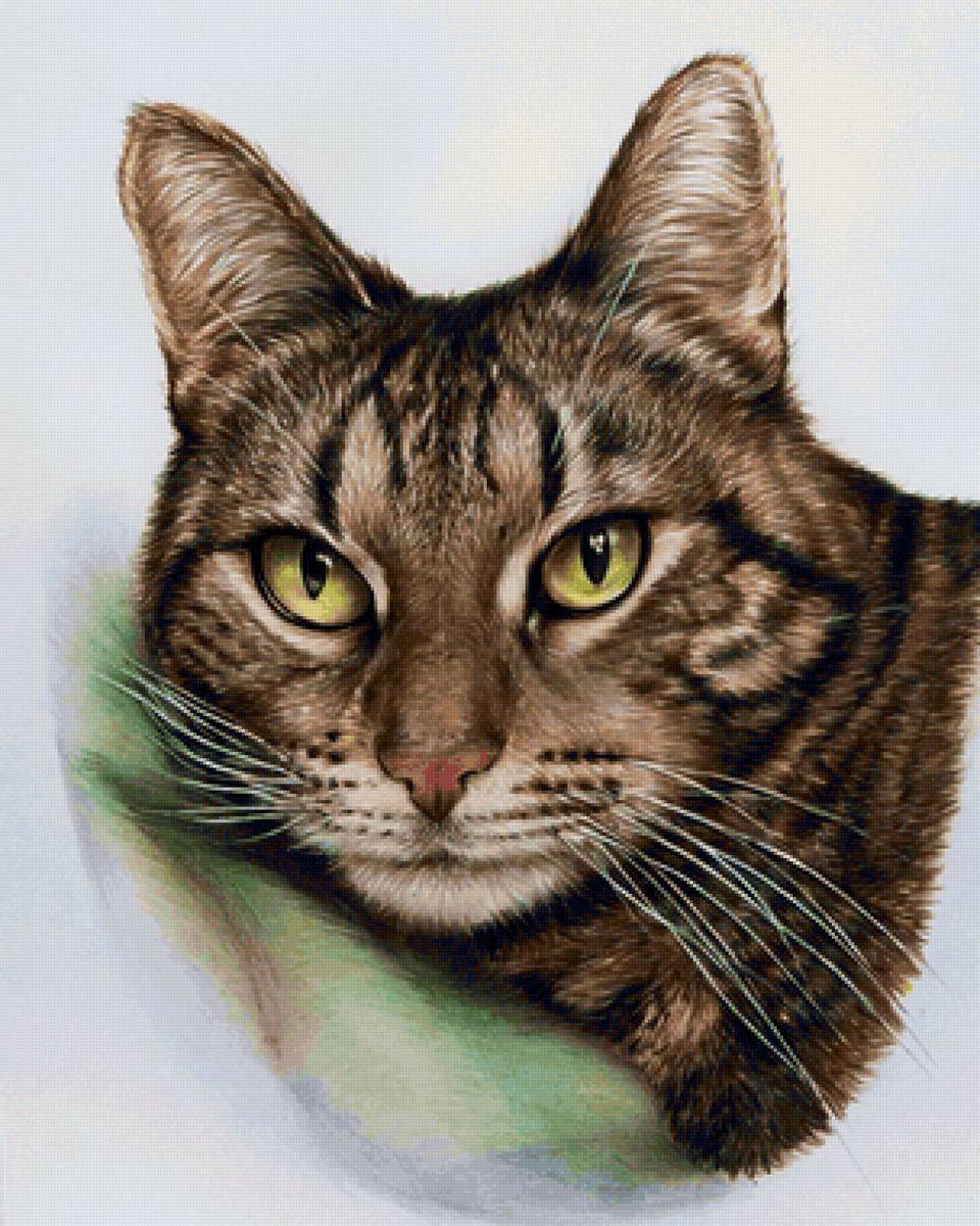 Gato. - animais. - предпросмотр