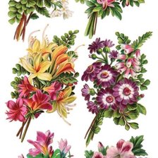 Схема вышивки «№2401263»