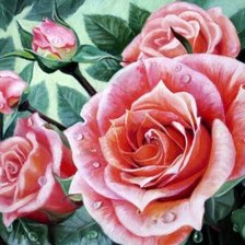 Схема вышивки «Розы»