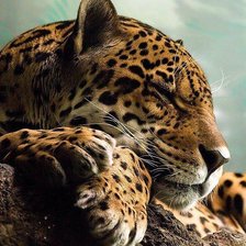 Схема вышивки «Mmmm»