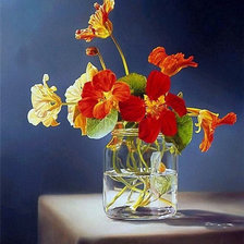 Схема вышивки «frasco»