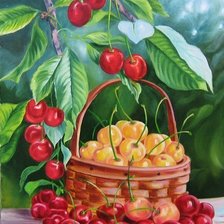 Схема вышивки «ceresas»