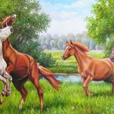 Схема вышивки «competencia»