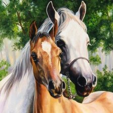 Схема вышивки «caballoz»