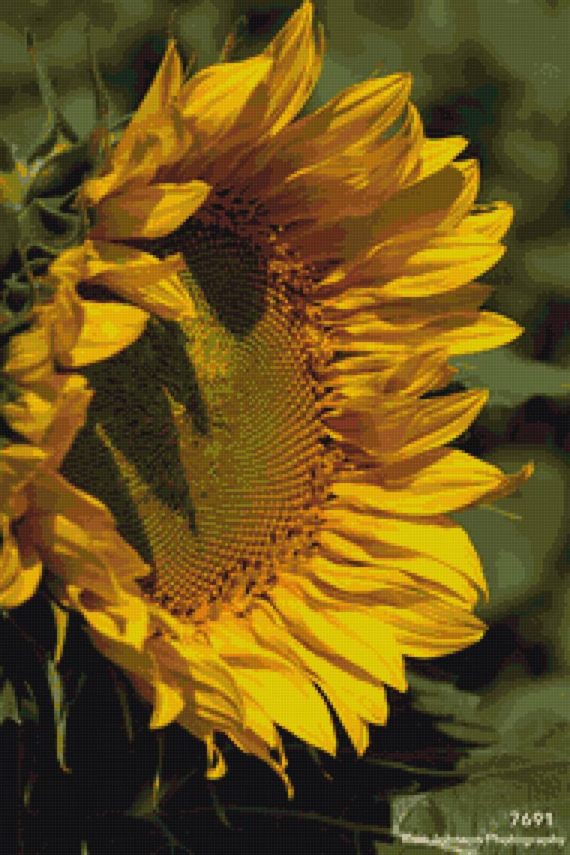 №2402015 - предпросмотр