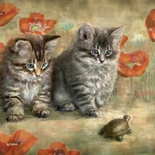 Два пушистика