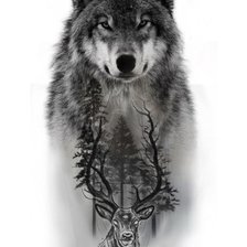 Схема вышивки «Волк»