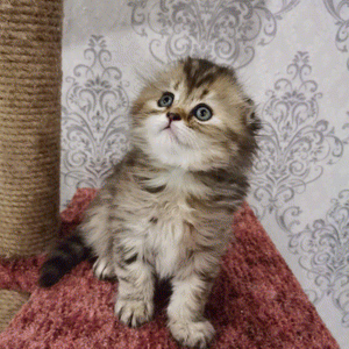 Вивьюшка - предпросмотр