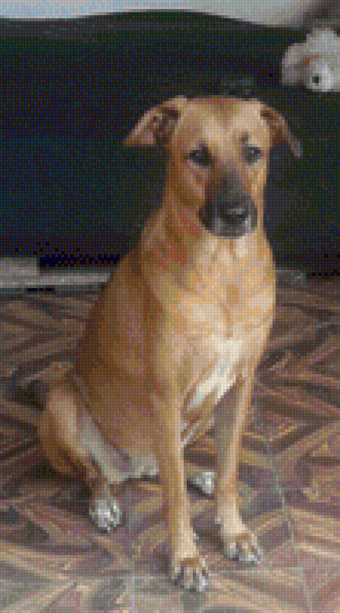 Animales - mariposas - предпросмотр