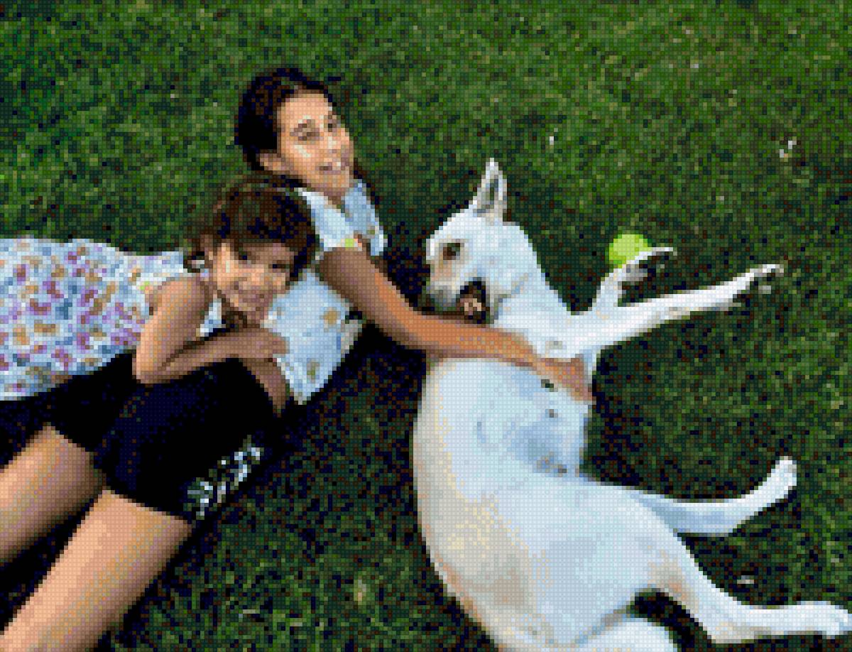 Familia - mariposas - предпросмотр