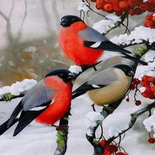 Схема вышивки «№2402876»