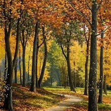 Схема вышивки «Пейзаж»