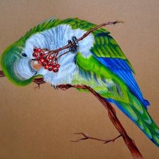 Схема вышивки «№2403134»