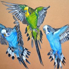 Схема вышивки «№2403143»