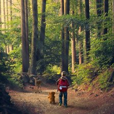 Схема вышивки «№2403153»