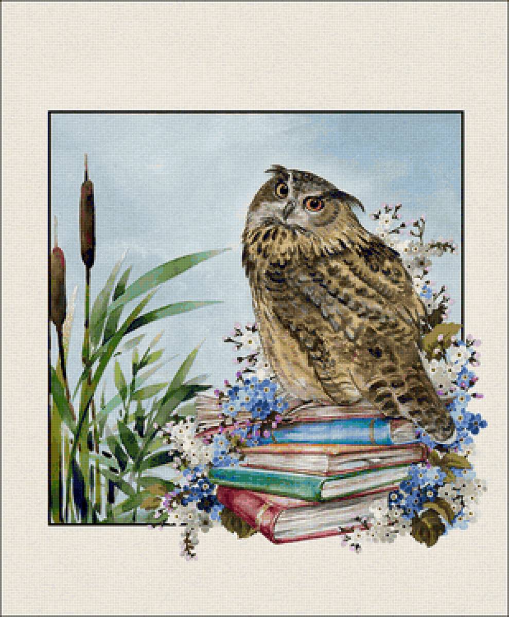 №2403170 - предпросмотр