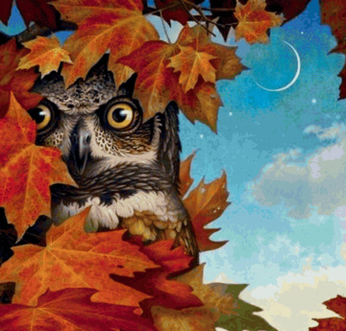 №2403330 - ночь, птицы лес, сова, природа - предпросмотр