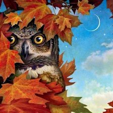 Схема вышивки «№2403330»