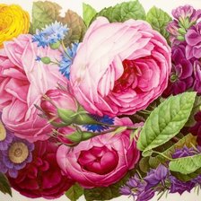 Схема вышивки «234»