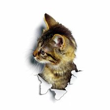 Схема вышивки «Котейка 2»