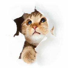 Схема вышивки «Котейка4»