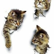 Схема вышивки «Котейка»