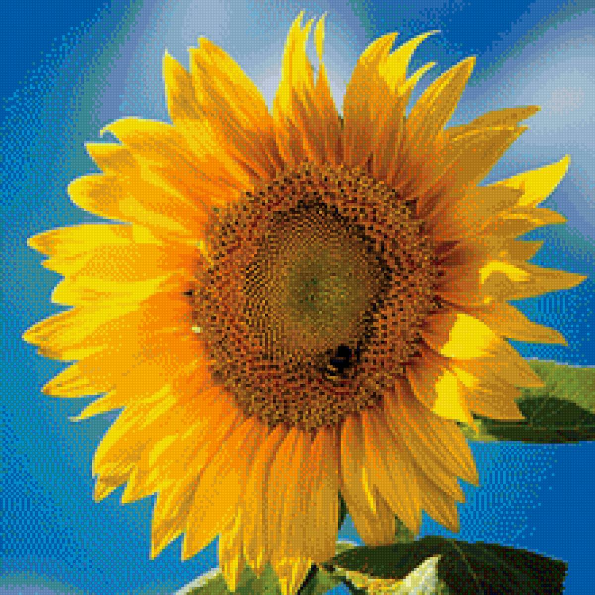 Цветок подсолнуха - цветок, подсолнух, подушка - предпросмотр